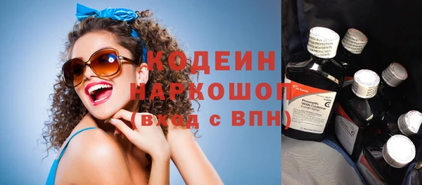 дмт Пестово