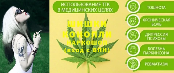дмт Пестово