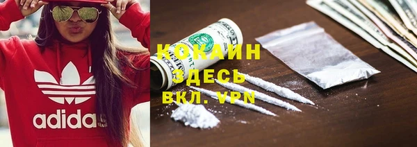 дмт Пестово