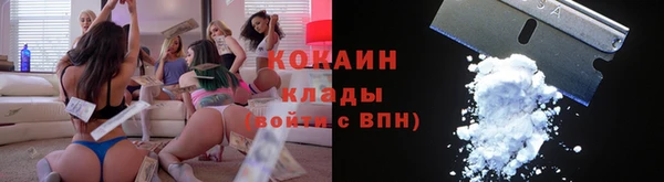 дмт Пестово