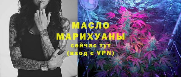 дмт Пестово