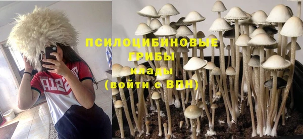 круглые Переславль-Залесский