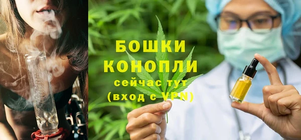 дмт Пестово